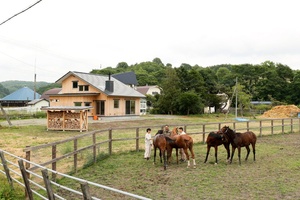 愛馬を見守る総板張りのイエ  浦河町・T邸/神馬建設