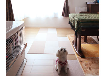 高床式3階建ての大きな家をどうやって暖かくするか!?　－あったかハウスの挑戦