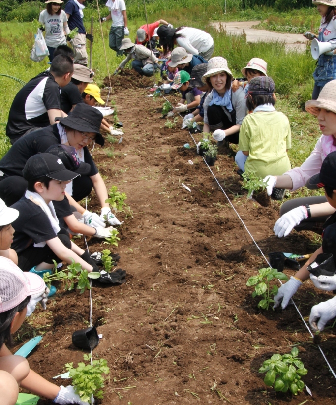 野菜作りメンバー、田植え体験の参加者募集中（札幌市・石狩市）